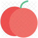 Pumpkin Cucurbita Pepo Icon