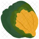 Pumpkin Vegetable Fresh Icon