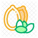 Pumpkin Nut Food Icon