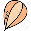 Pumpkin seed  Icon