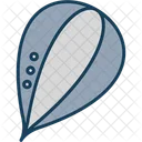 Pumpkin Seed Pumpkin Seed Icon