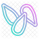 Pumpkin Seed  Icon