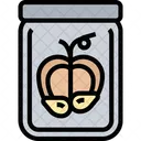 Pumpkin Seeds  Icon
