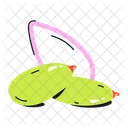 Pepitas Pumpkin Seeds Squash Seeds Icon