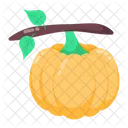 Pumpkin Vine Autumn Pumpkin Cucurbita Pepo Icon