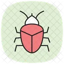 Punaise Insecte Odeur Icône
