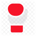 Punch Boxing Gloves Icon