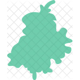 Punjab  Icon
