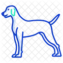 Puntero Aleman Mascota Icono