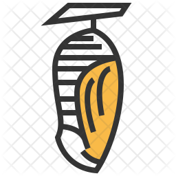 Pupa Icon
