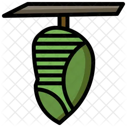 Pupa  Icon