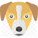 Puppy Face Dog Icon