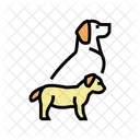 Puppy Pet Yorkshire Icon