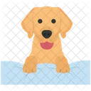 Puppy Pet Domestic Icon