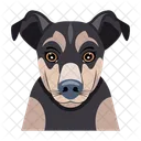 Dog Icons Animal Icons Domestic Dog Icon