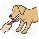 Puppy  Icon