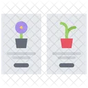 Purchase Plant  Icon