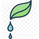 Pure Droplet Water Icon