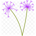 Purple Alliums Spring Nature Icon