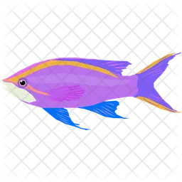 Purple anthias  Icon