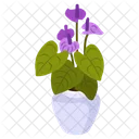 Purple Anthurium  Icône