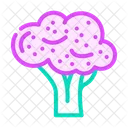 Purple Broccoli  Icon