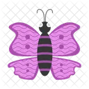 Butterfly Insect Nature Icon