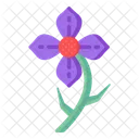 Purple Clematis  Icon