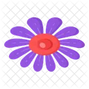 Purple Daisy  Icon