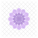 Purple Flower Flower Beautiful Icon