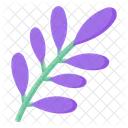 Purple Leaves  Icon