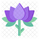 Purple Lotus  Icon