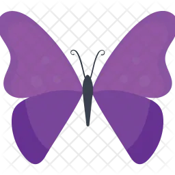 Purple Morpho Butterfly  Icon