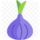 Purple Onion  아이콘
