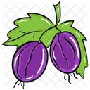Purple Radish Radish Vegetable Icon