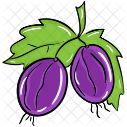 Purple Radish  Icon