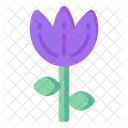 Purple Tulip  Icon