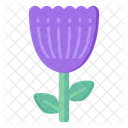 Purple Tulip  アイコン