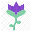 Purple Tulip  Icon