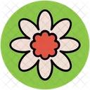 Puschkinia Flower Libanotica Icon