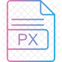 Px  Icon