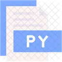 Py Format Type Icon