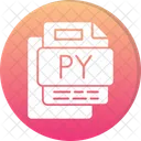 Py File File Format File Icon