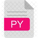 Py File Format Icon