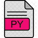 Py File Format Icon