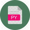Py File Format Icon
