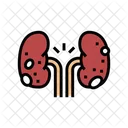 Glomerulonephritis Kidney Disease Icon