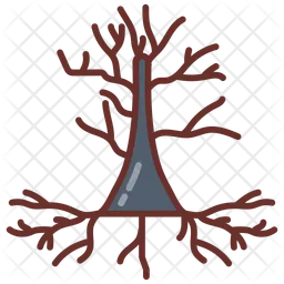 Pyramidal cell  Icon