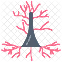 Pyramidal Cell Cell Brain Cell Icon