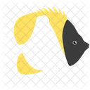 Pyramiden Falterfisch Meerestier Tier Symbol